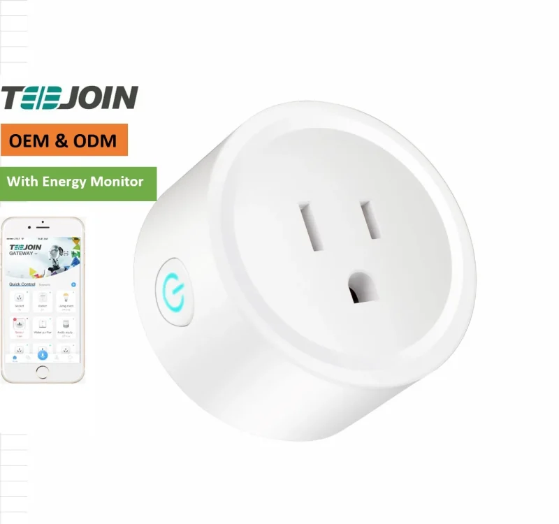 Teejoin CE Open Source Wifi Program with Timer Google Us Electric New Amerique Power Plug  Home kit Smart Socket