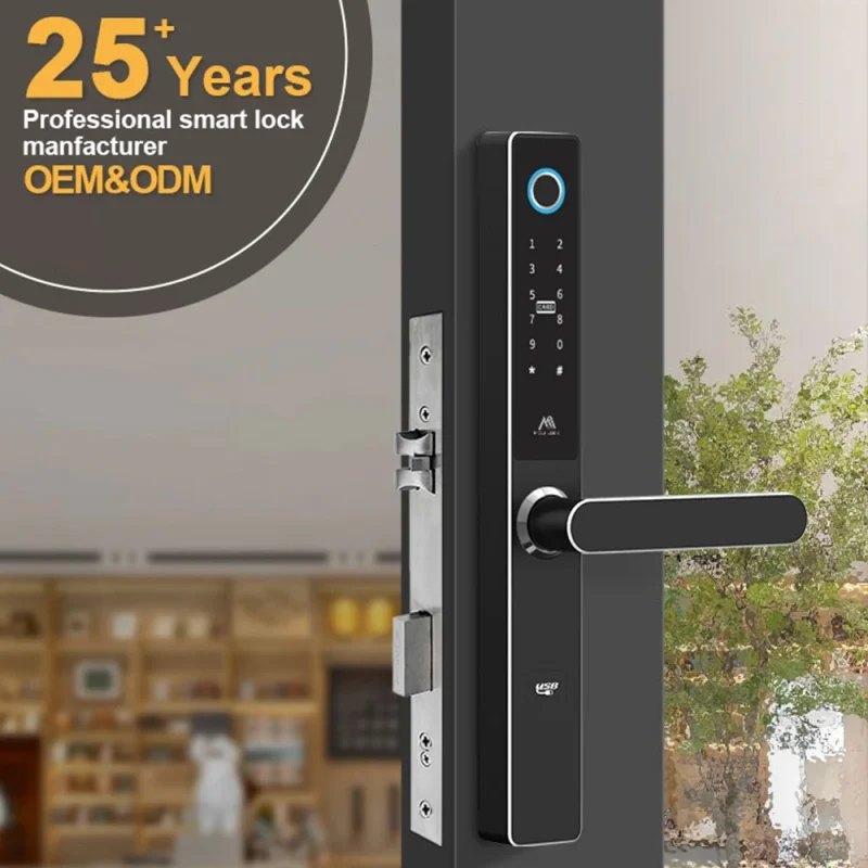 New Style Tuya Smart Door Lock for Serrure Intelligente Fingerprint Wifi Home Electronics Smart Door Lock - Image 2